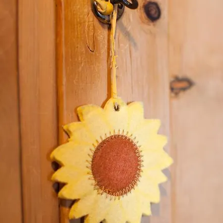 Kasermandl 아파트